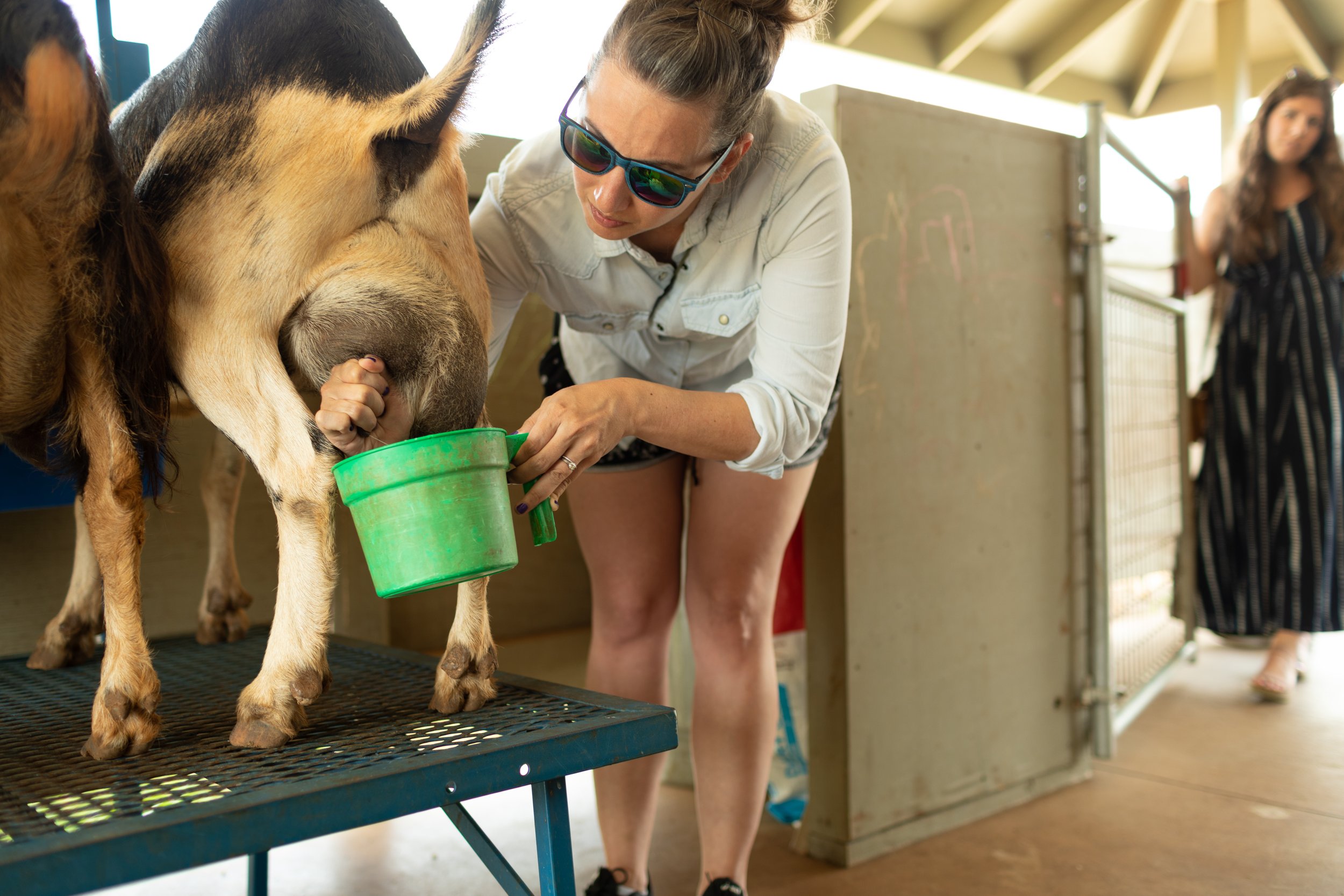 haleakala-creamery-tour-80.jpg