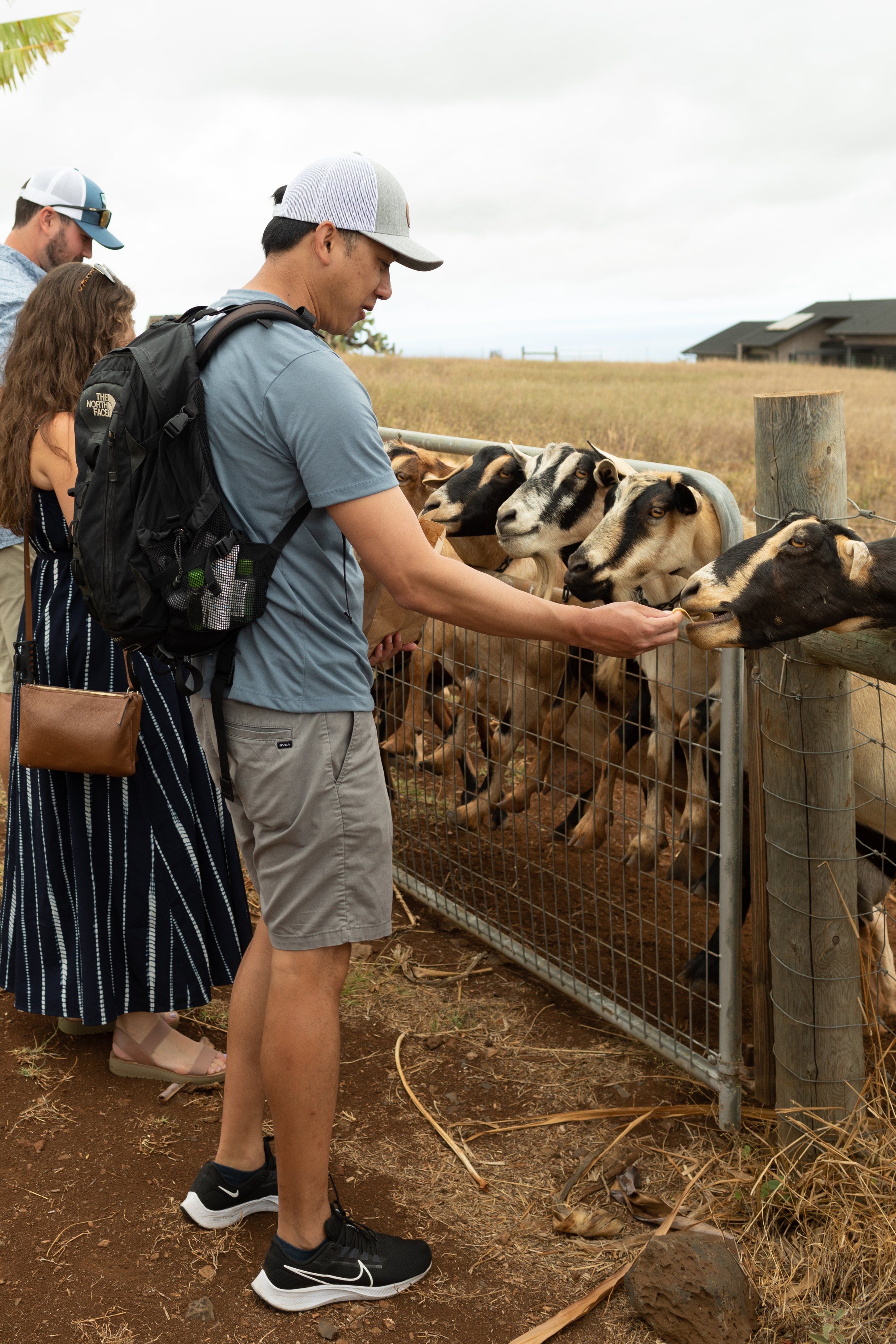 haleakala-creamery-tour-17.jpg