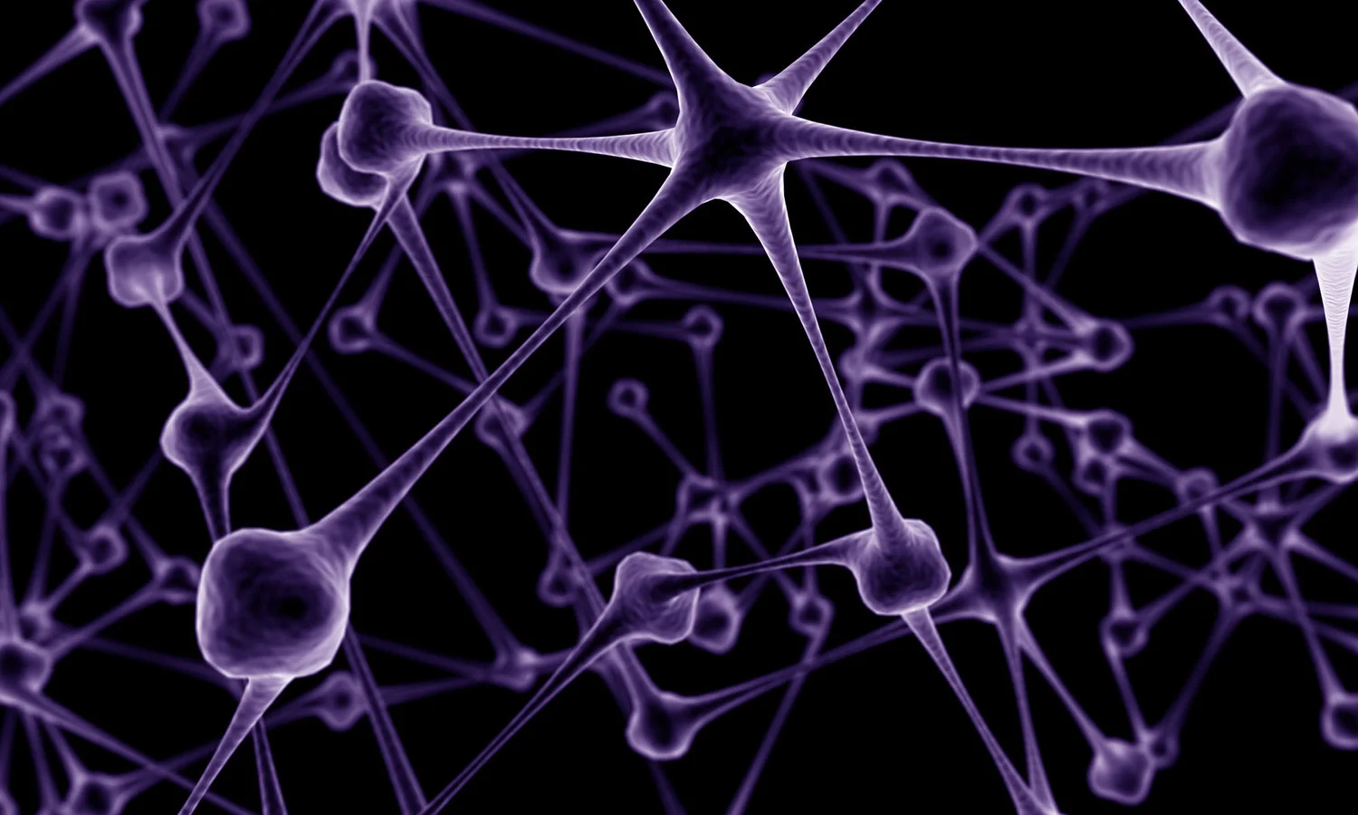 The-Neuroeconomics-v3.jpg