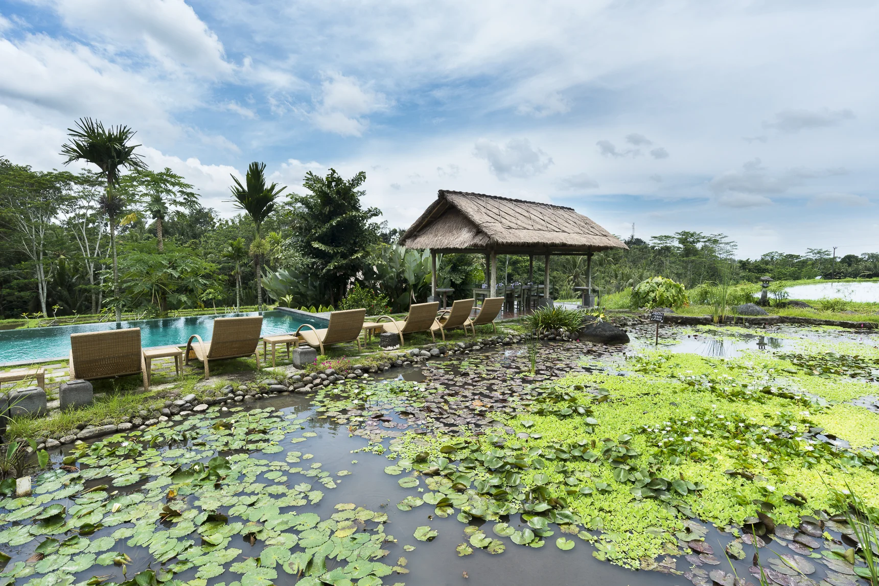 BALI