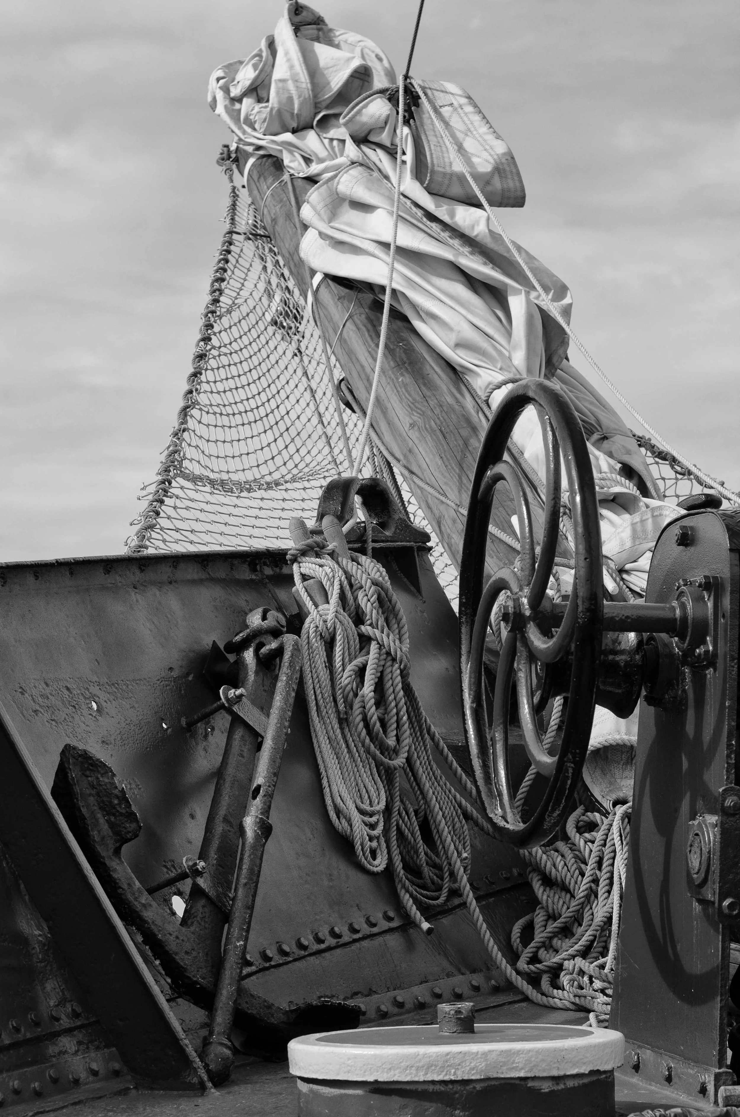 Bow B&W.jpg
