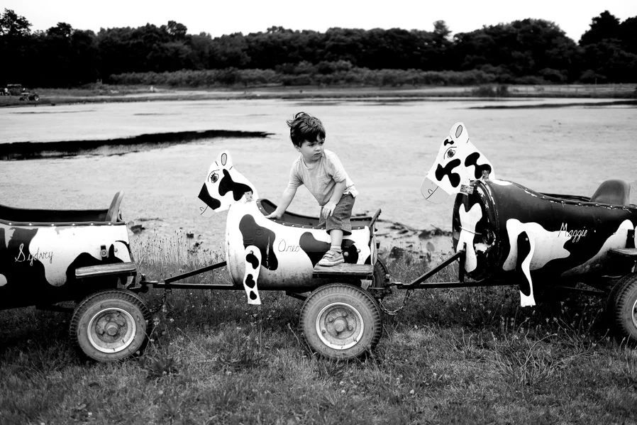 boston-summer-toddler-03