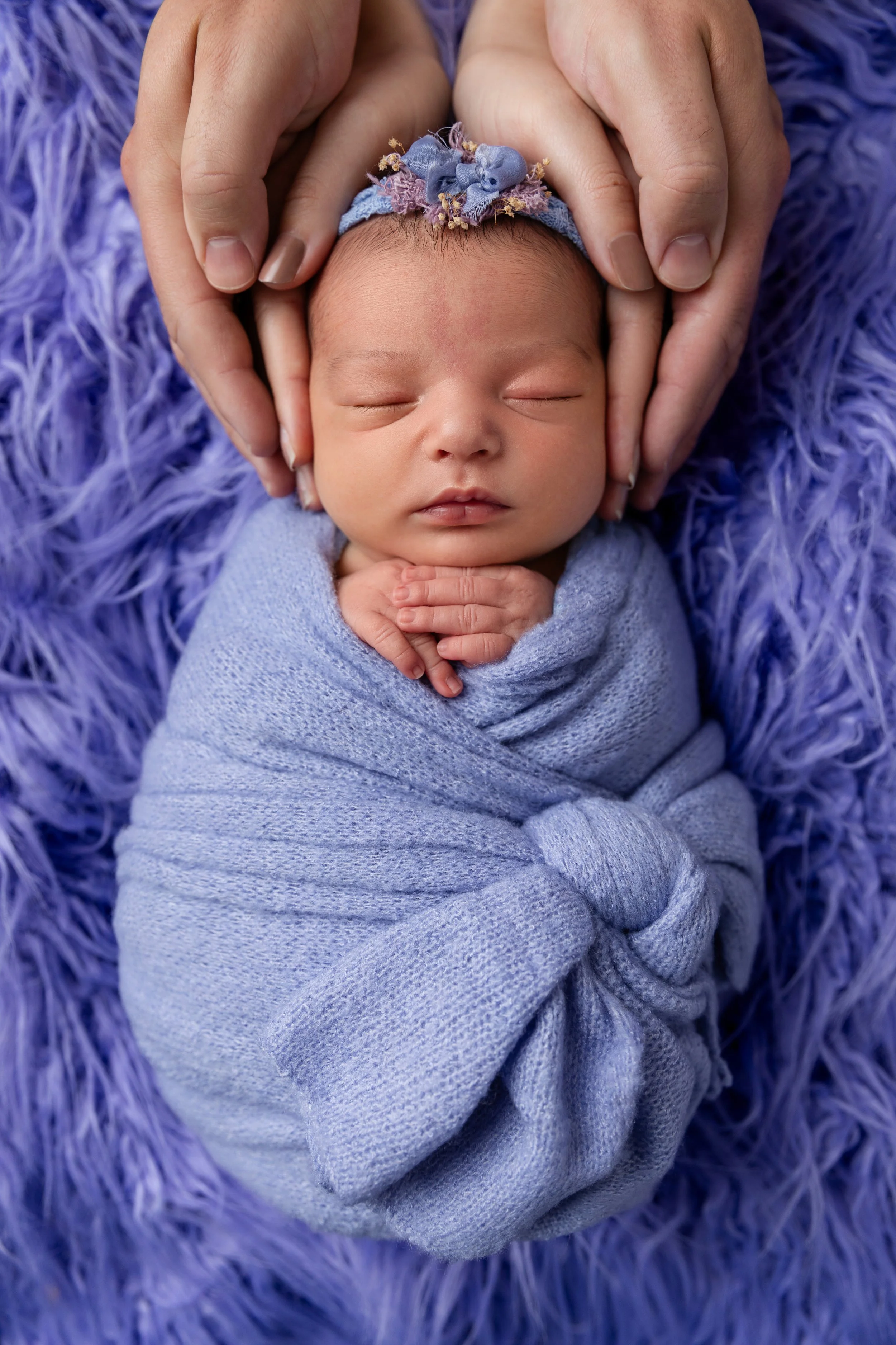 SNewborn baby in studio setting, posed adorably.