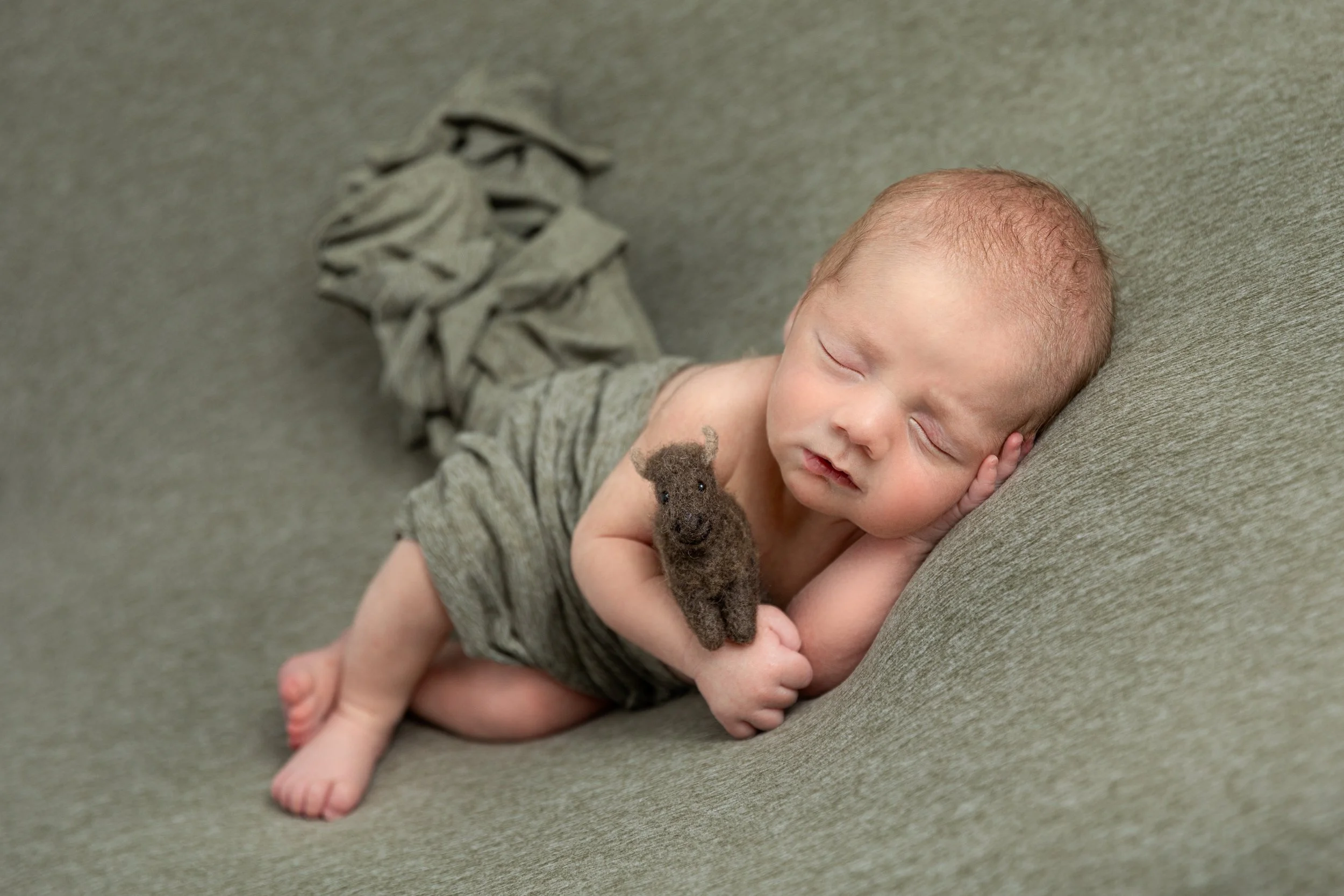 Newborn baby posed in studio setting