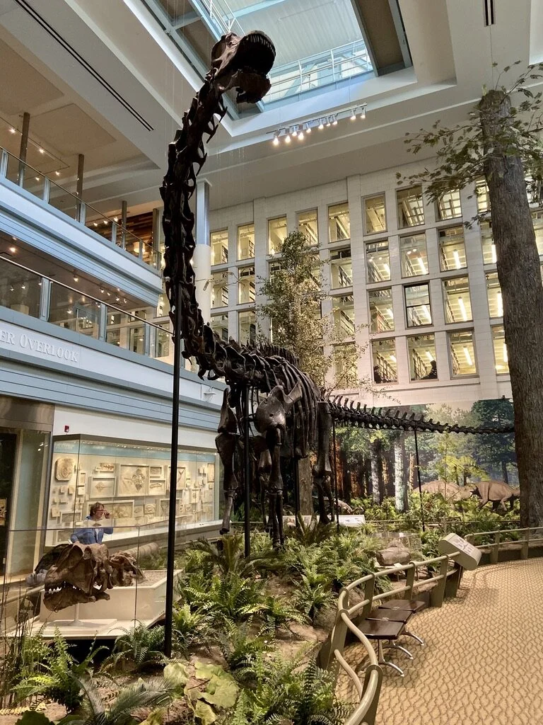 Dippy About Dinosaurs! — The Andrew Carnegie Birthplace Museum