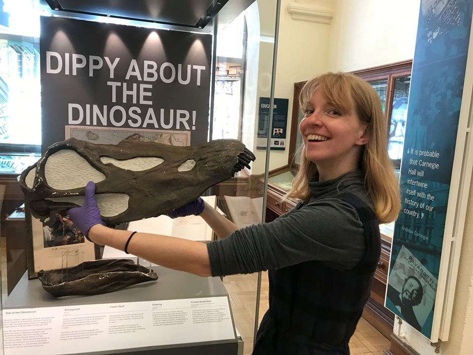 The Andrew Carnegie Birthplace Museum’s Curator is holding a replica Diplodocus skull. 