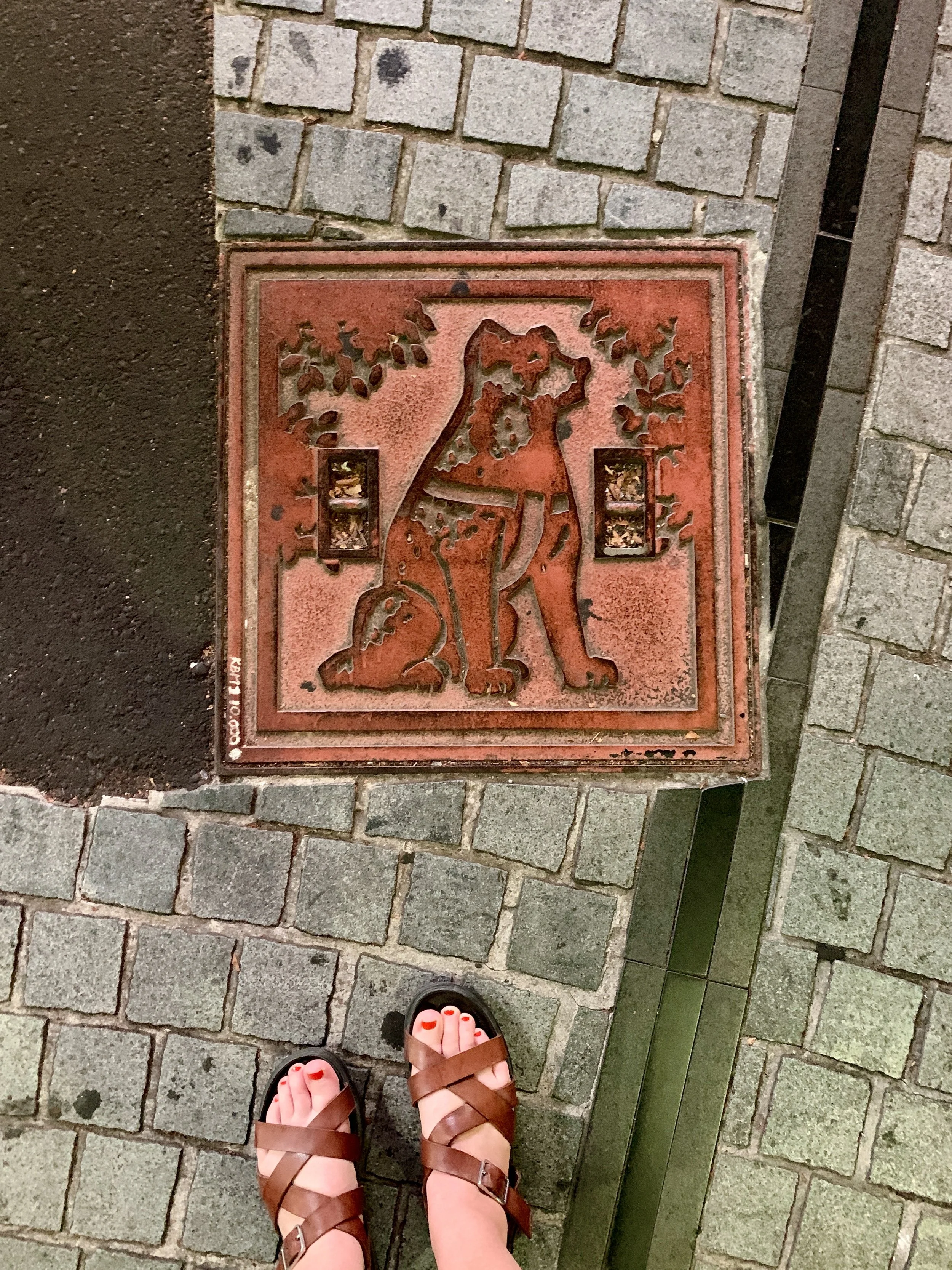 IMG_8106.jpeg