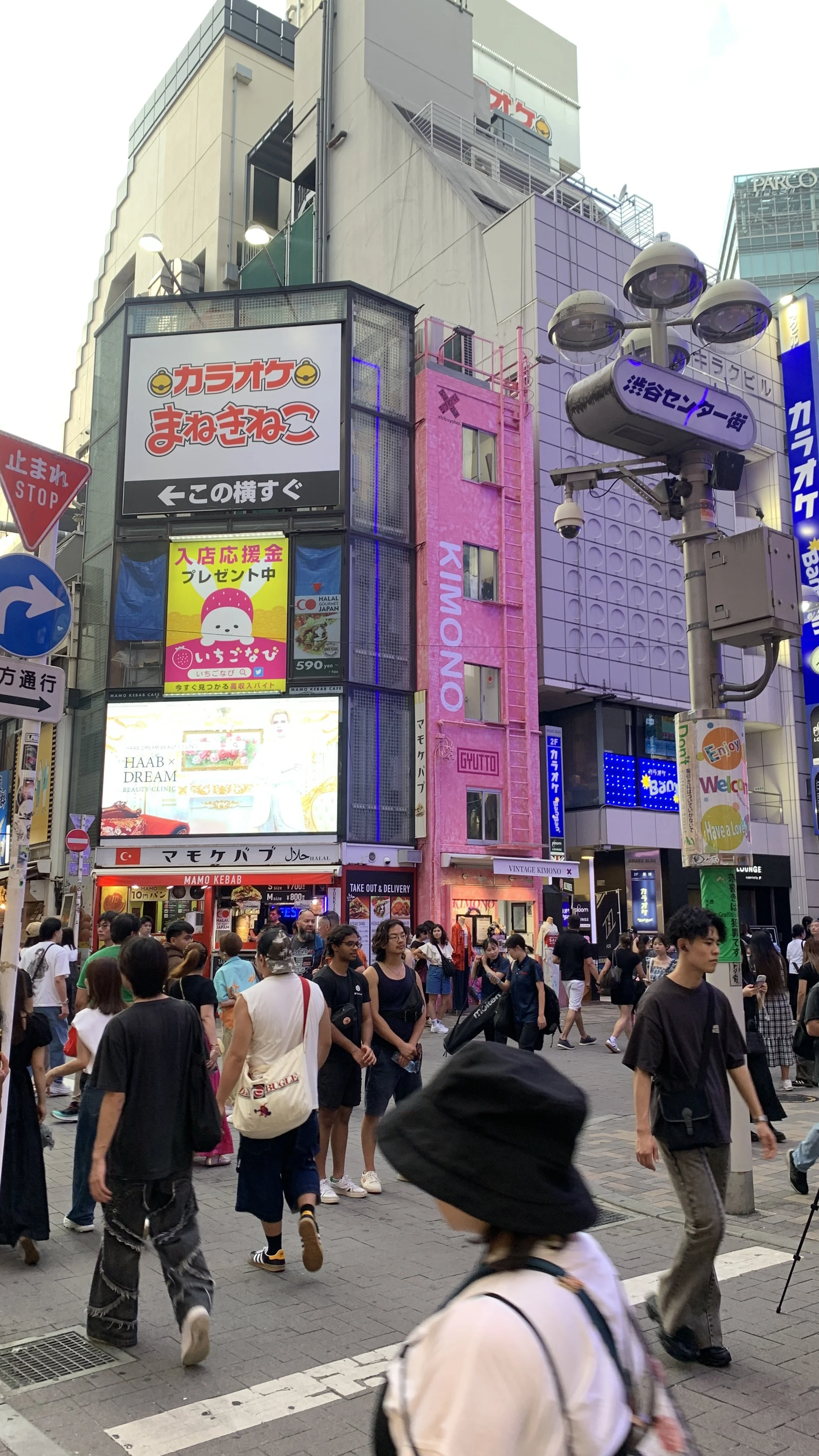 IMG_8546.jpeg