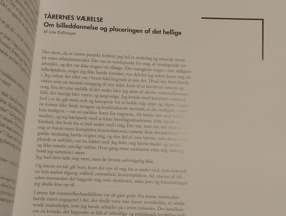Tårernes værelse, essay, snapshot from catalogue