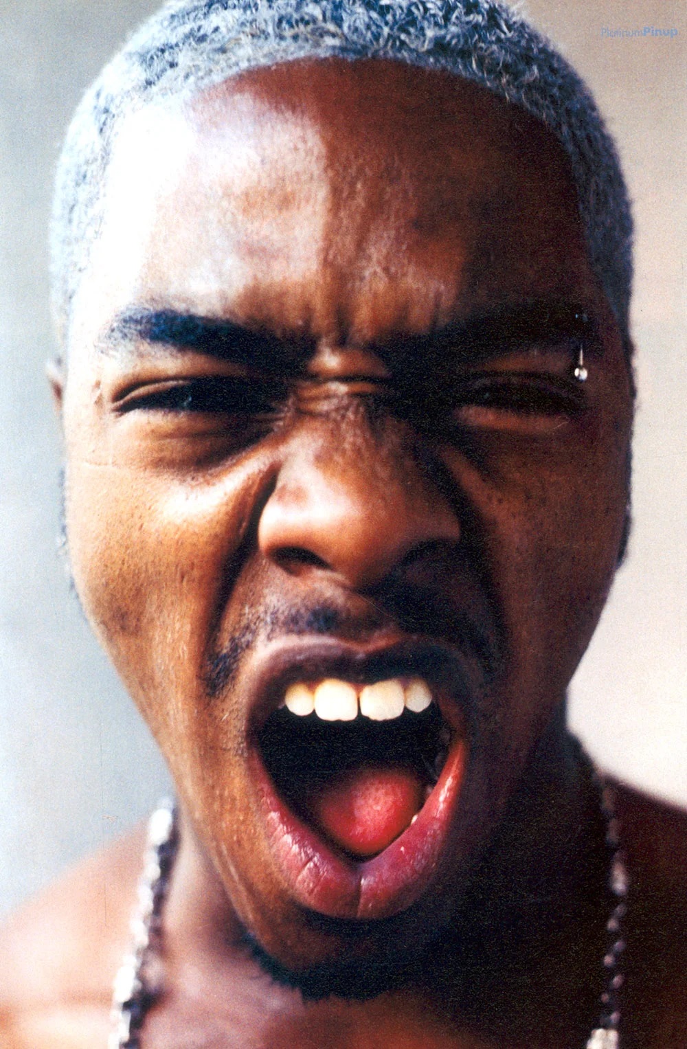 Sisqo 2 copy.jpg