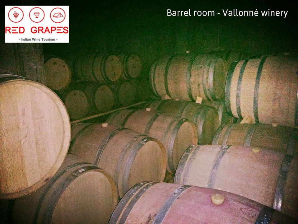 Vallonne winery, barrel room, Nashik wine tour
