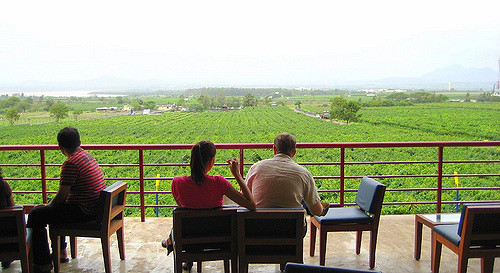 Nashik wine tour | Wine tasting at sula