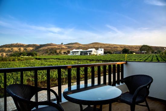 Nashik wine tour | Soma winery nashik