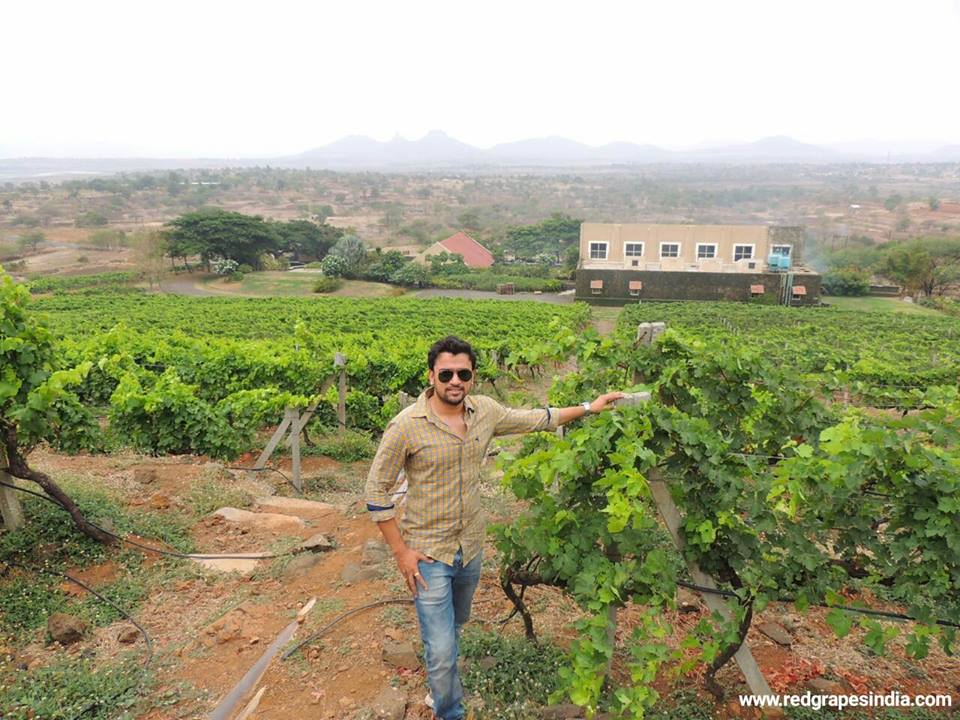Mr. Vikrant Holkar, Founder and CEO, Red Grapes - Indian wine tourism