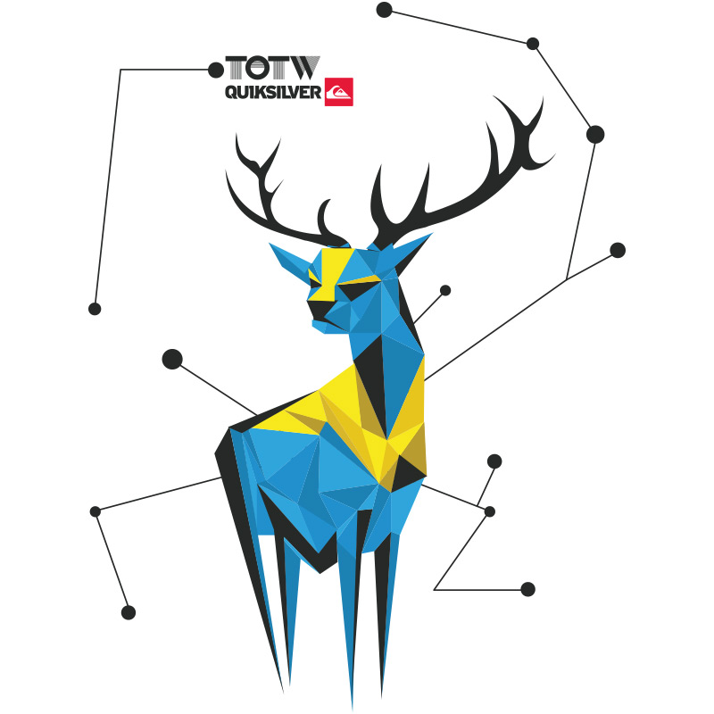 Quicksilver X TOTW - Collaboration Graphique