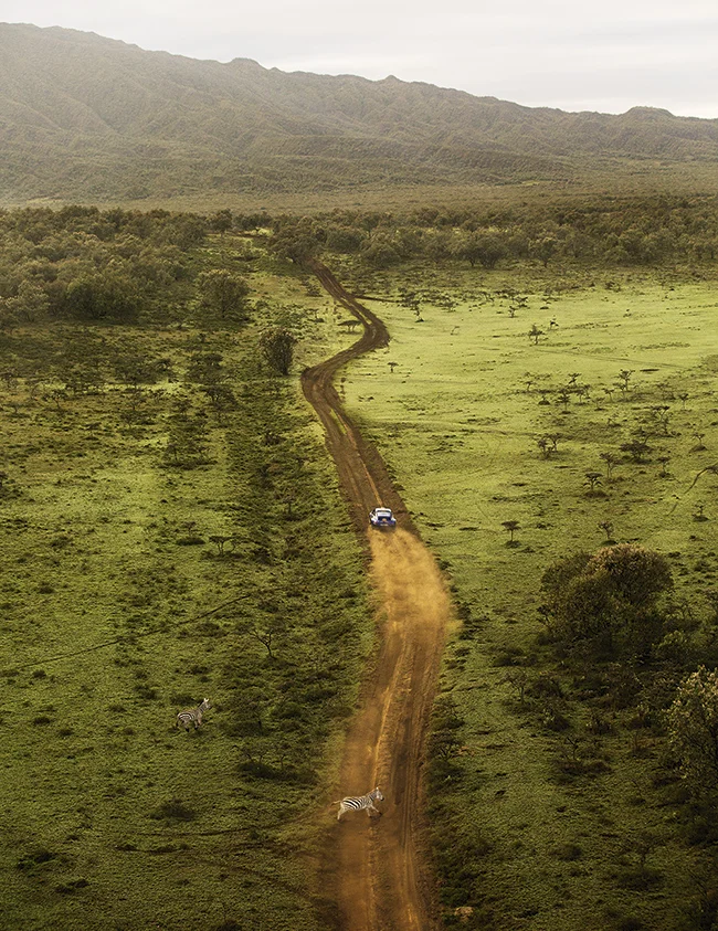 SafariRally_1113_5558.jpg