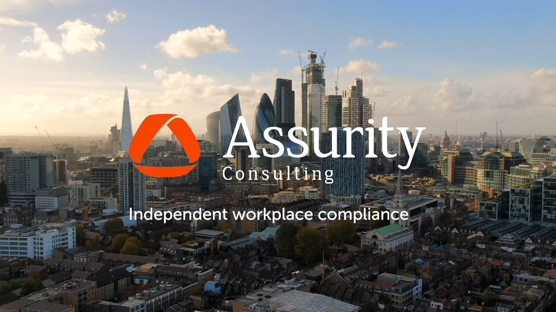 Assurity Consulting - Our Consultant role