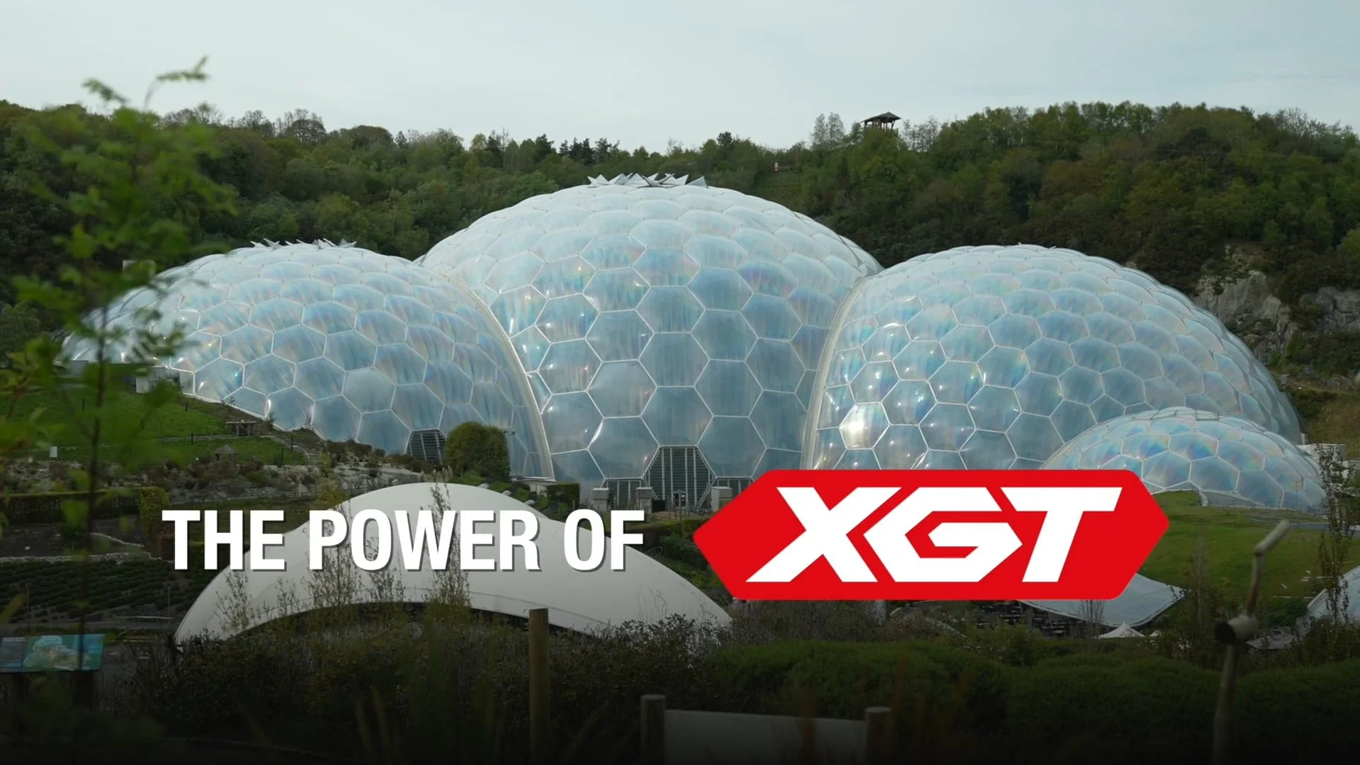 Makita + Eden Project