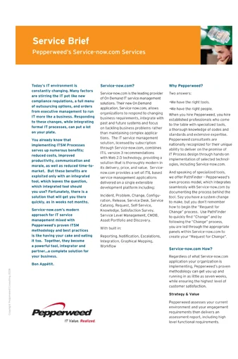 IT Consulting Service Brief