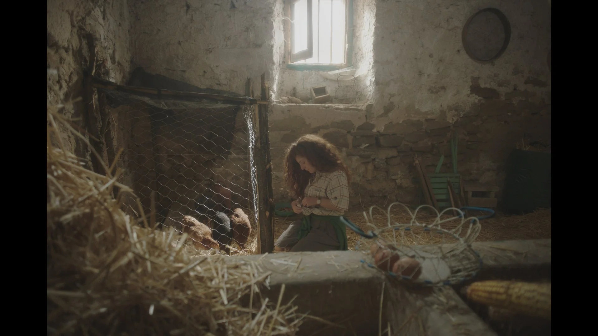 CEN_STILLS_D06_1.47.1.jpg