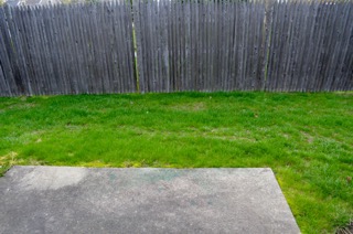 DSC_1419.jpeg