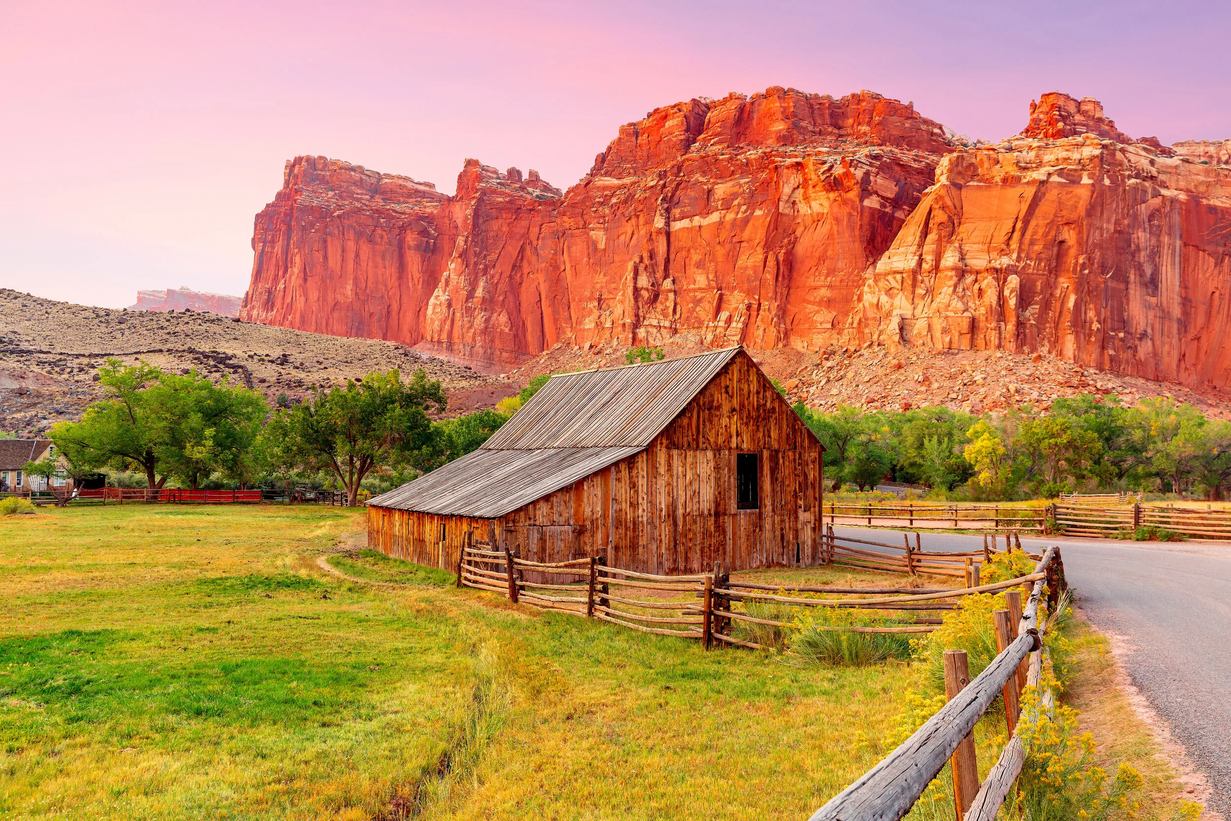 AO3A7932 1-Edit-Edit.jpg