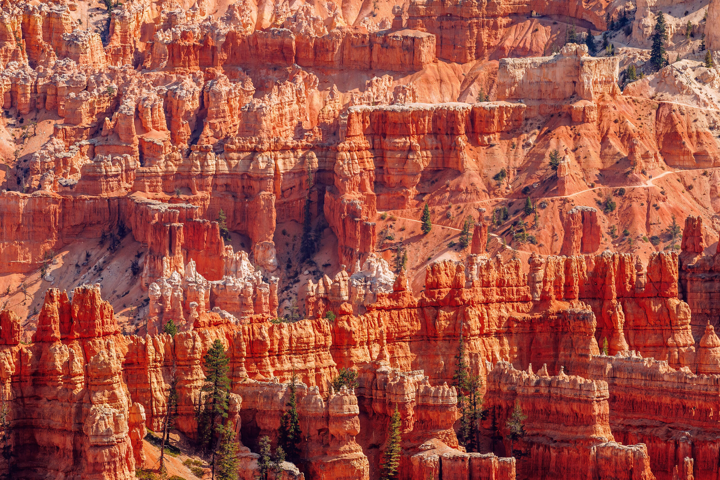 Bryce Canyon National Park 