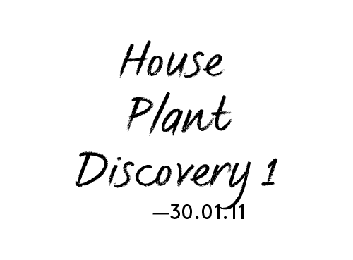 houseplant.png