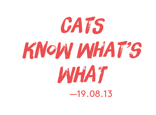 catsknow.png
