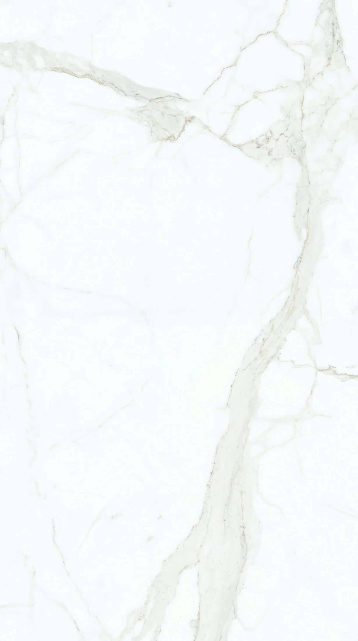 Calacatta Super White B 