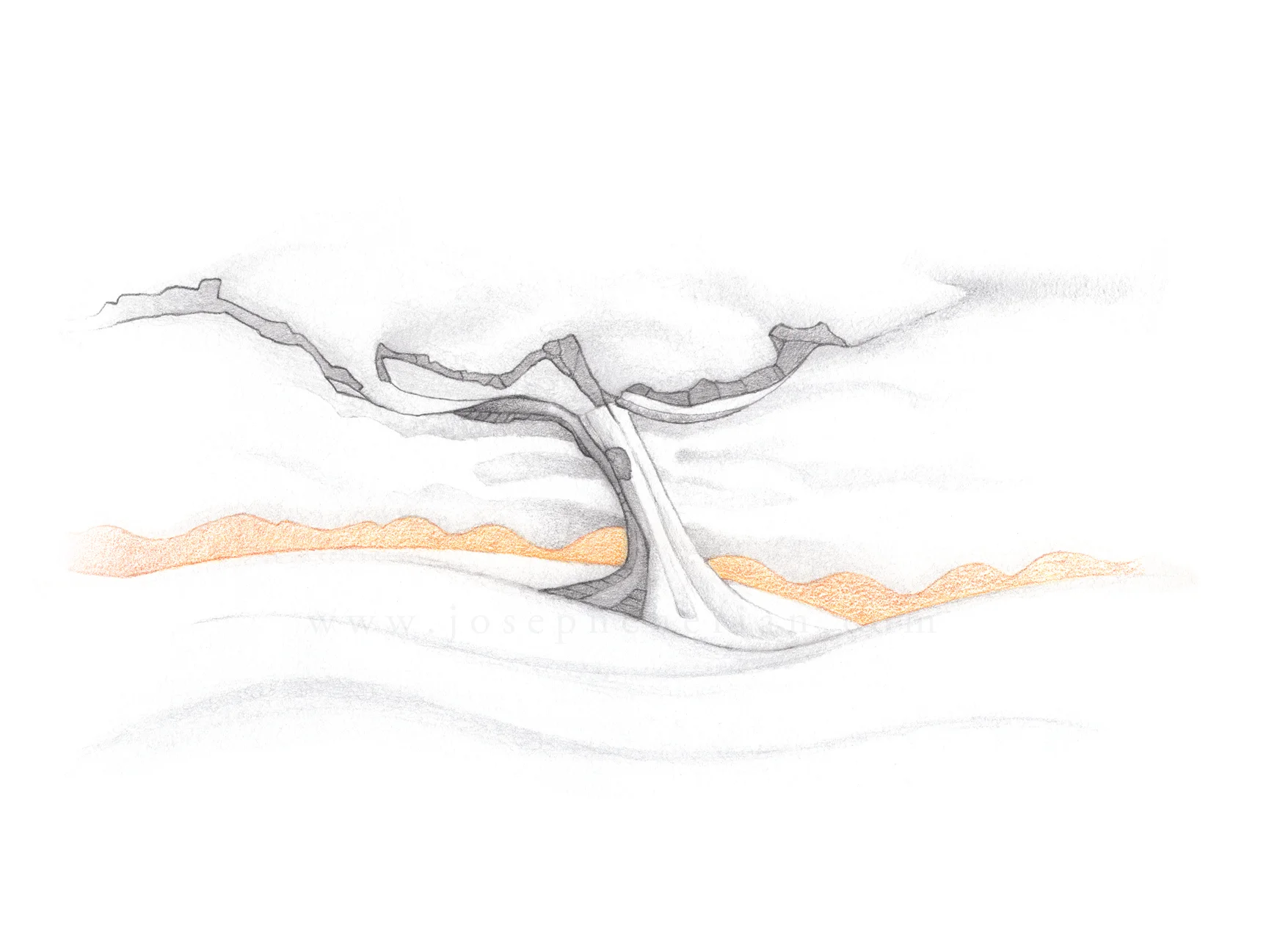 Tree_drawing_02_web.jpg