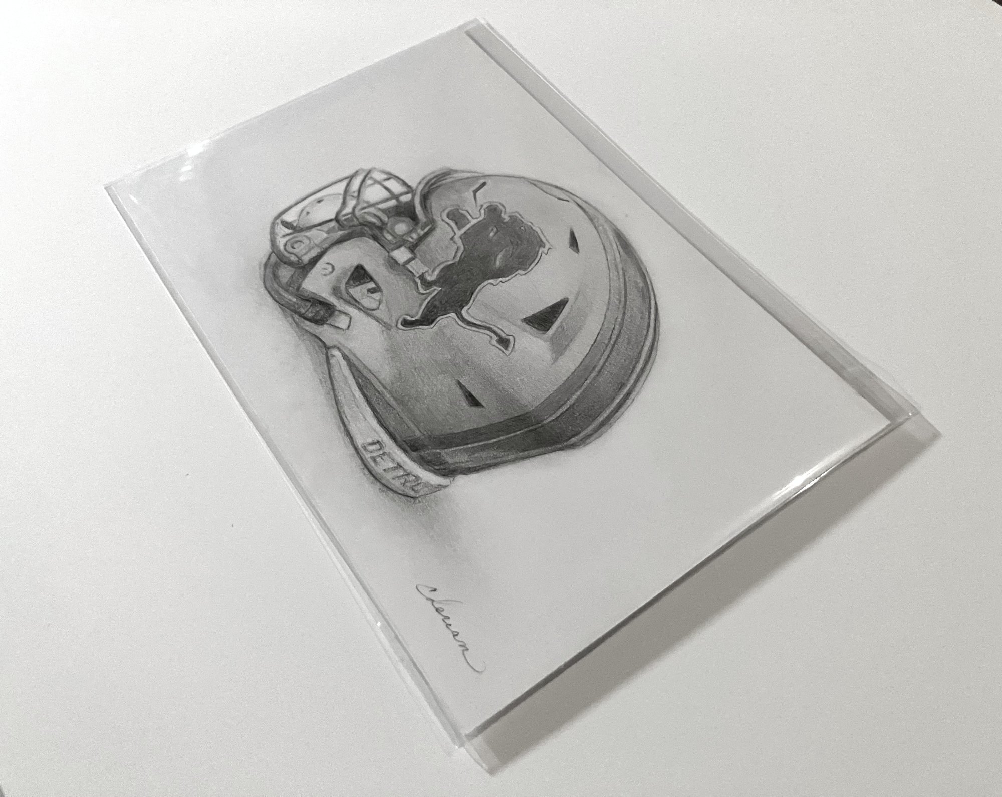 02_Lions Helmet_4x6.jpg