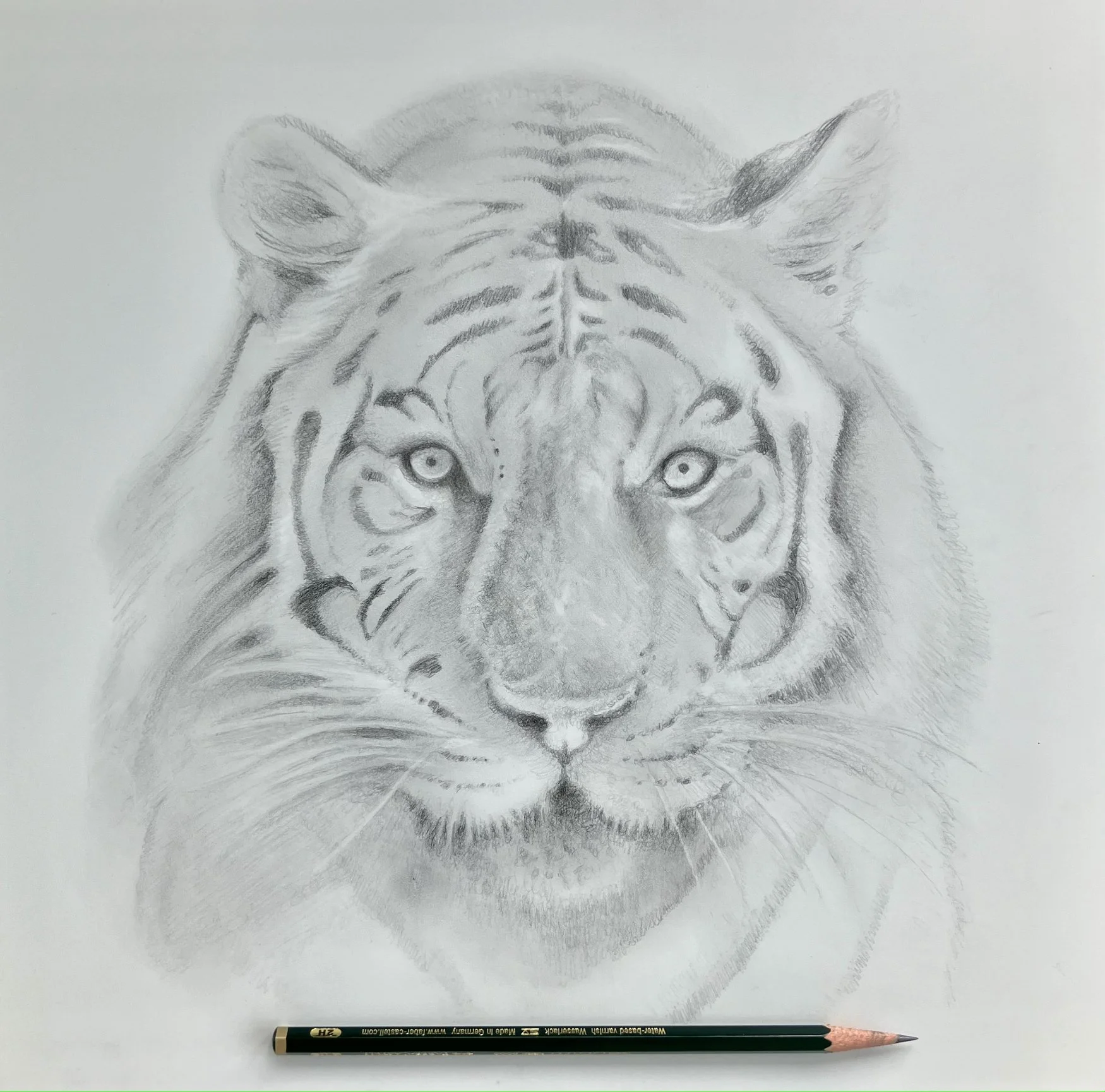 01_WhiteTiger.jpg