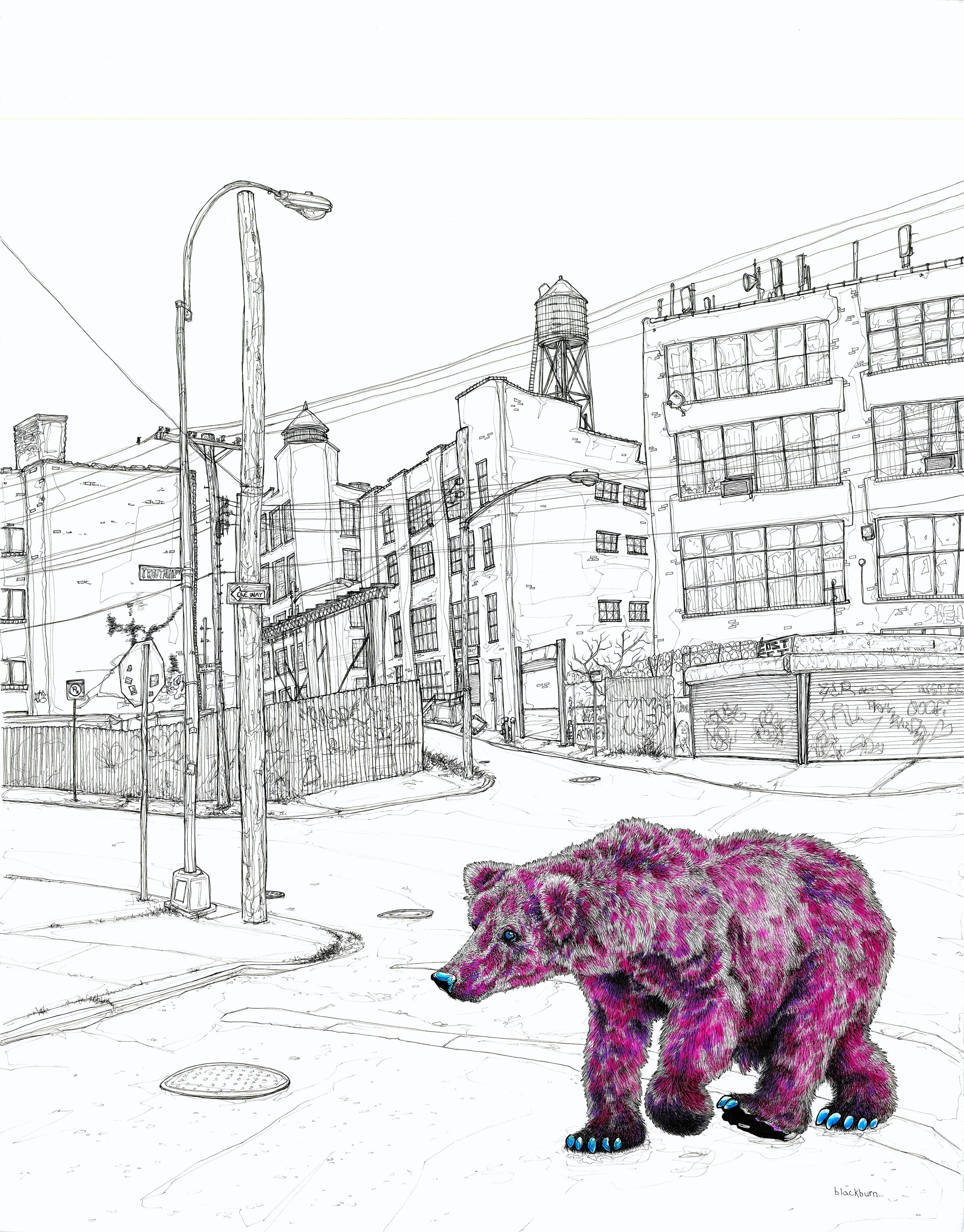 Bear In Brooklyn (New York, USA)