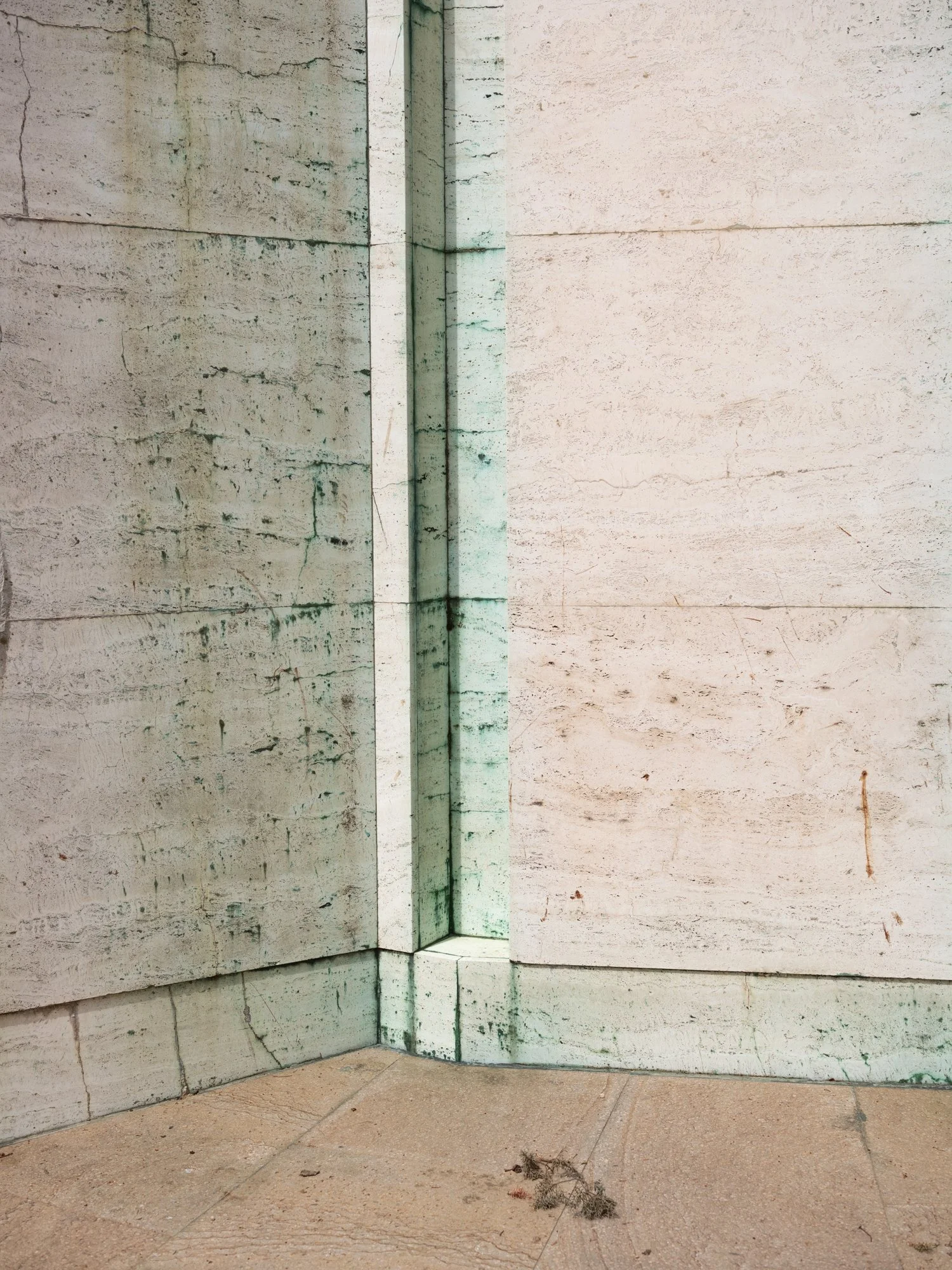 dvc_exhibition-6.jpg