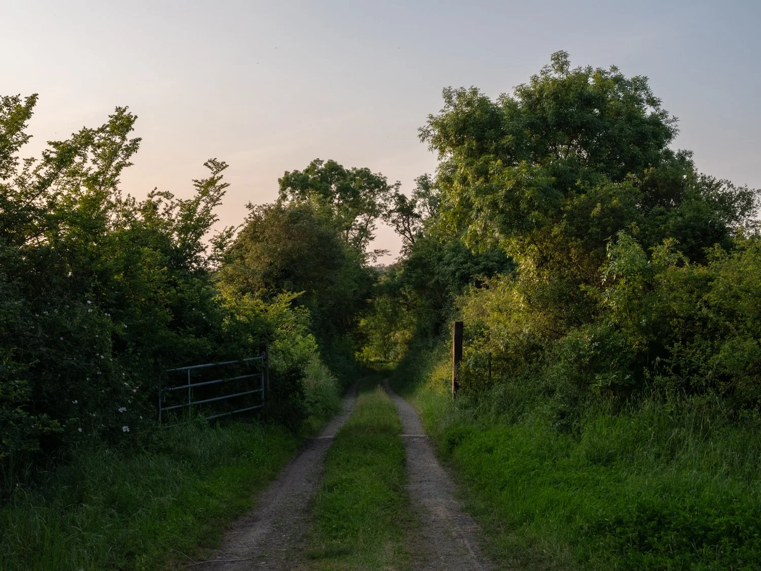 unending_path-12-2.jpg