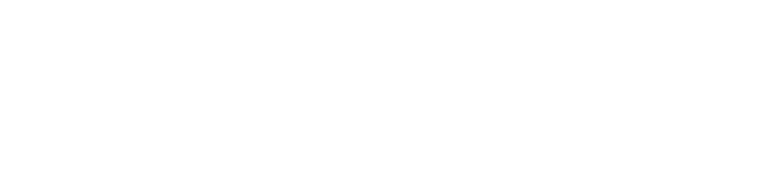 Retail_Branding_Hold The Balloon_Bootstrap Design Co-01-01.png