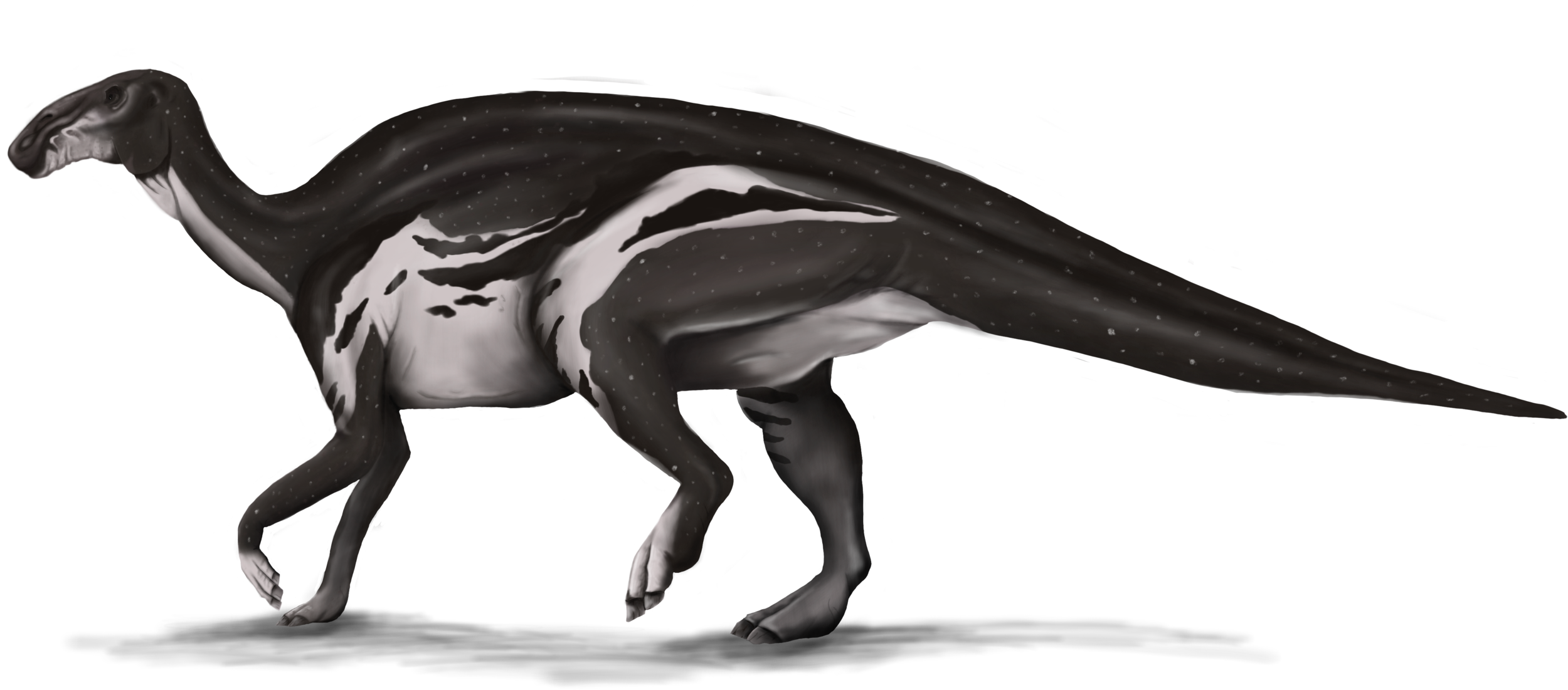 Hadrosaurus.png
