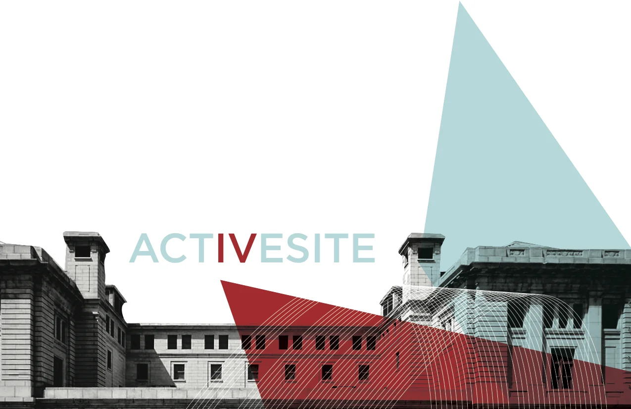 ACTIVESITE IV (2008)