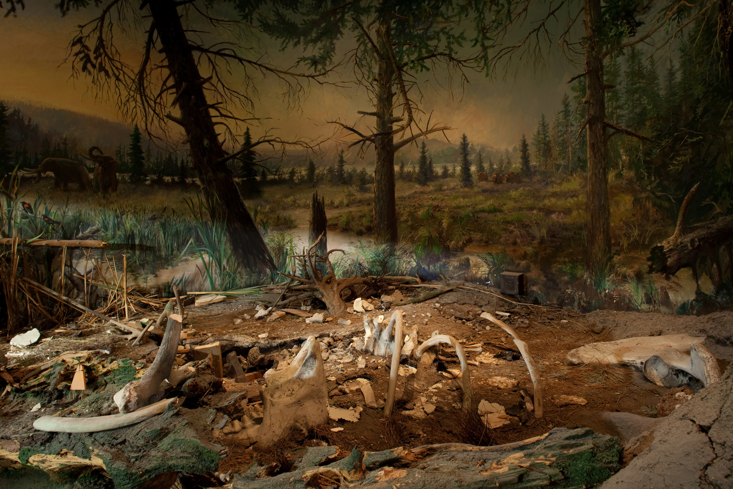 OldPublicMuseum-138 copy.jpg
