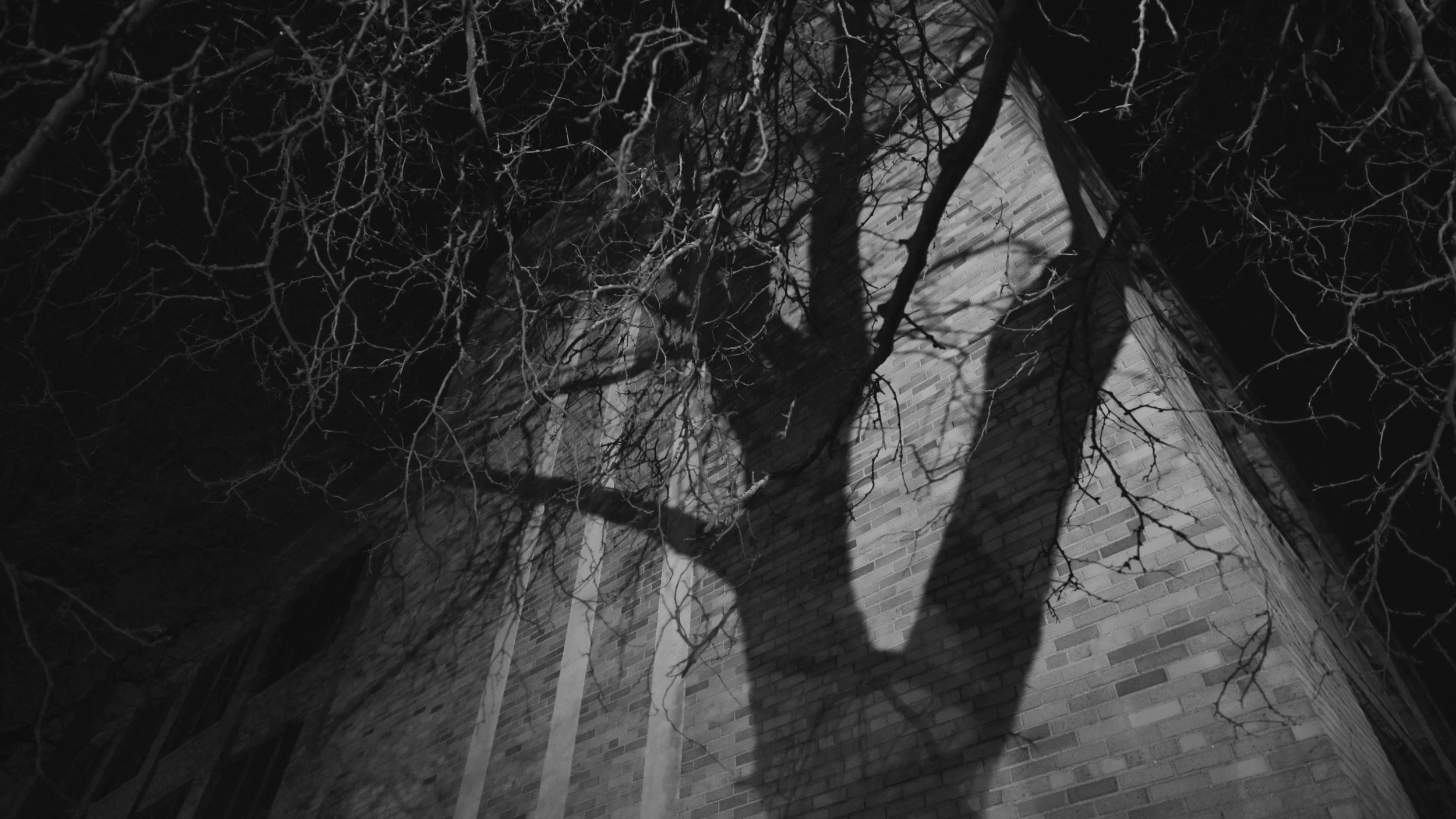 Dark_Trees_Screenshot_PrntRes-19.jpg