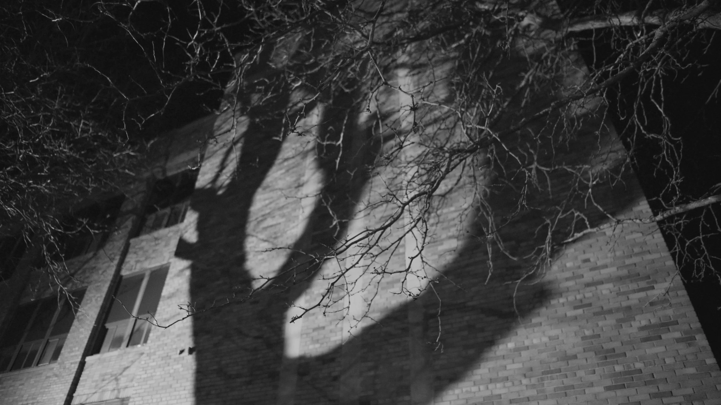 Dark_Trees_Screenshot_PrntRes-68.jpg
