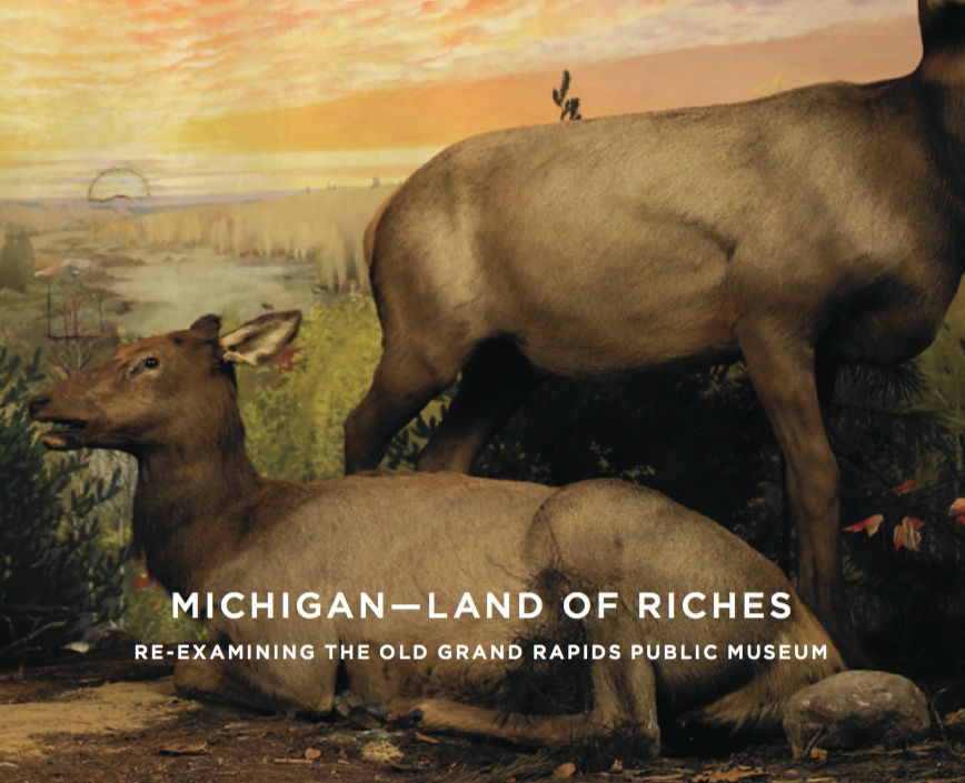 MICHIGAN—LAND OF RICHES (2010)