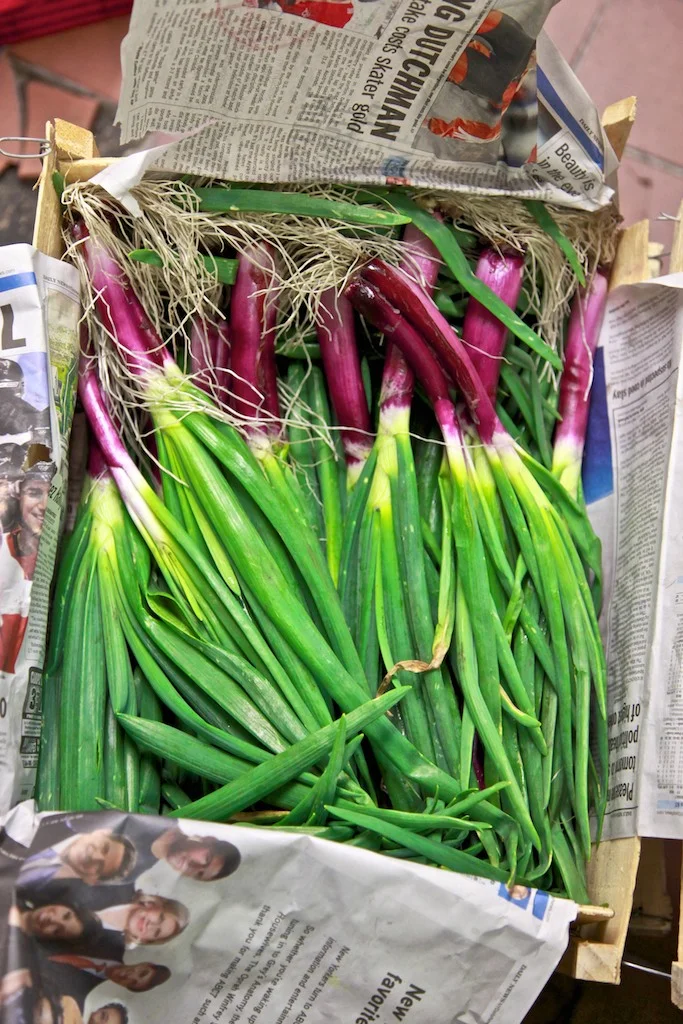 IMG_0484 (2 of 68).jpg