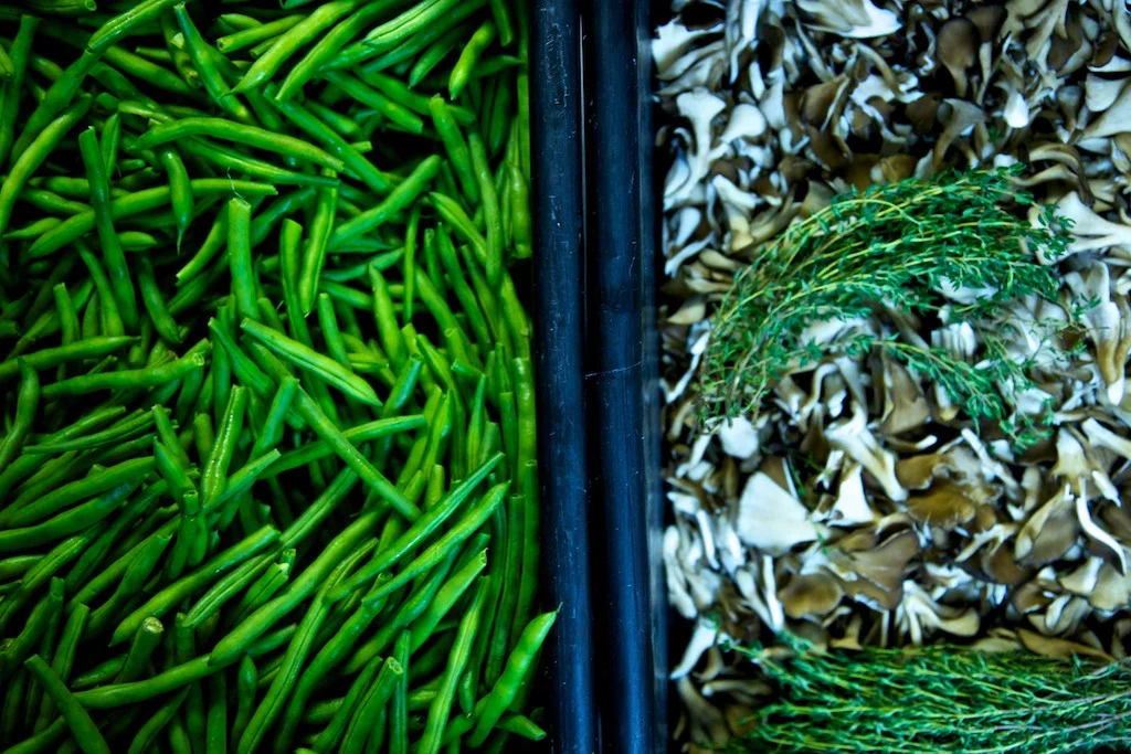 IMG_1470 (26 of 68).jpg