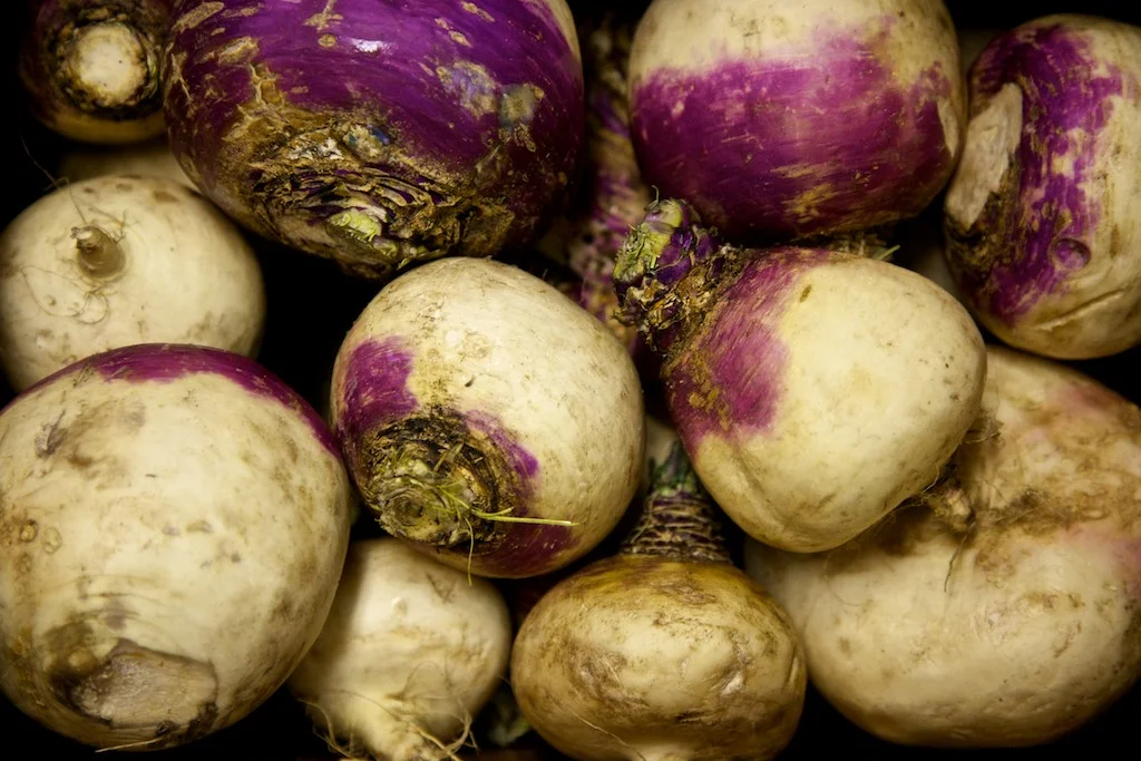 IMG_1518 (27 of 68).jpg