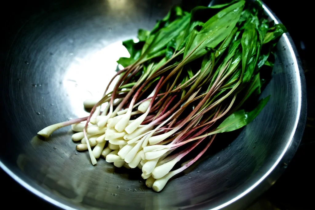 IMG_3064 (47 of 68).jpg