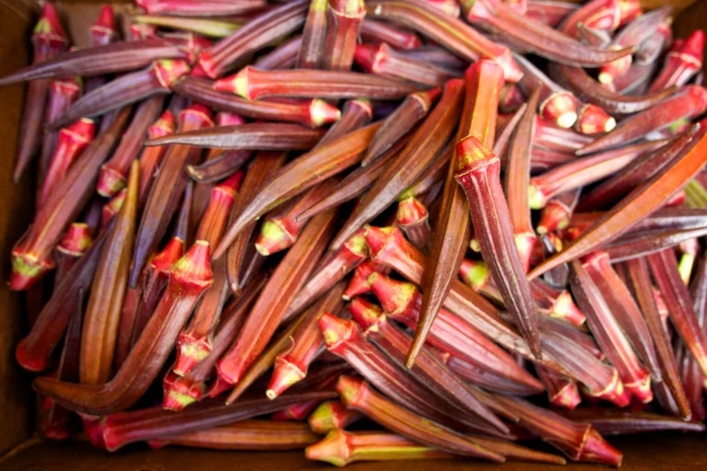 IMG_3707 (60 of 68).jpg