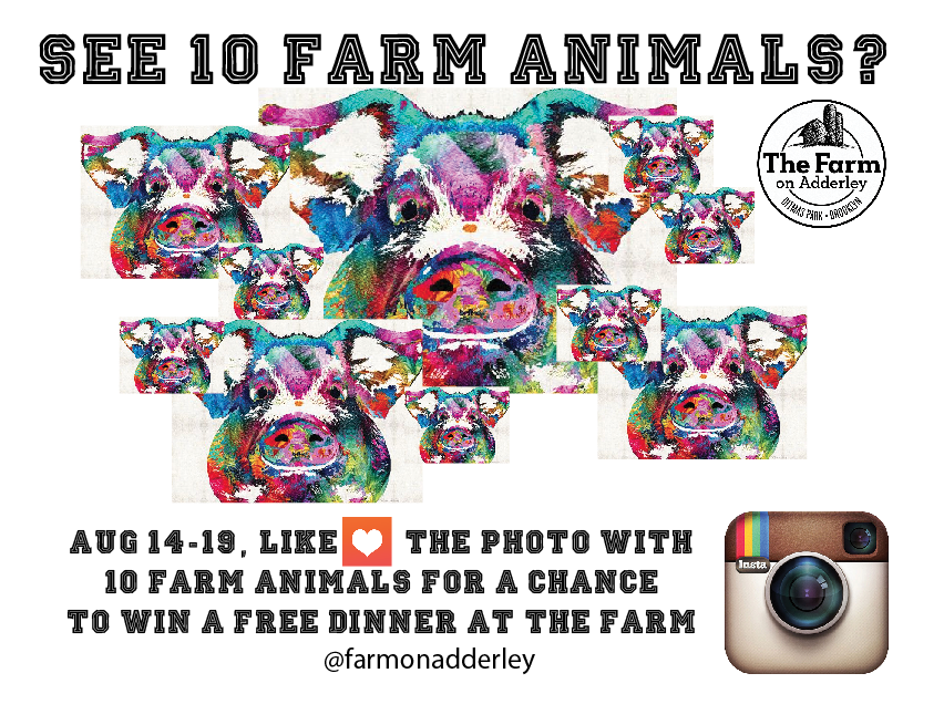 The Farm on Adderley's 10th Anniversary is coming up!! To Celebrate, LIKE our photos on INSTAGRAM during our anniversary week (August 14-19th). LIKE the lucky photo with 10 farm animals for a chance to win dinner ($50 gift certificate) on us!
