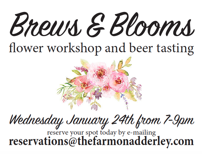 Screen Shot 2018-01-05 at 12.29.23 PM.png